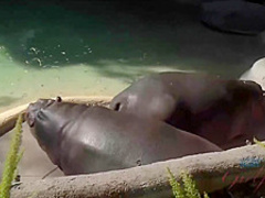 Charming blonde babe is horny and needs someone to fuck her dirty brains out, until she cums