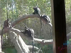 Charming blonde babe is horny and needs someone to fuck her dirty brains out, until she cums