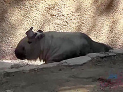 Charming blonde babe is horny and needs someone to fuck her dirty brains out, until she cums