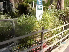 Charming blonde babe is horny and needs someone to fuck her dirty brains out, until she cums