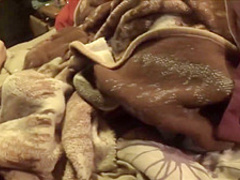 Horny mature woman sucks a young cock