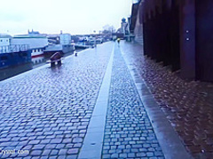 Marilyn Crystal Public Blowjob Dick Erik Everhard and Rough Anal Sex