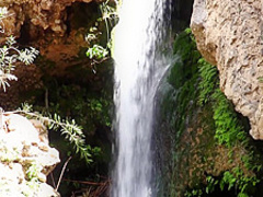 Mila Azul Wild Passion