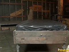 Fuckedupfacial - gigi rivera