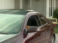 Prinzzess, Rozen DeBowe - Lesbian PsychoDramas #15