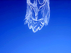 Baremaidens - Farewell My Queen