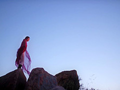 Baremaidens - Farewell My Queen