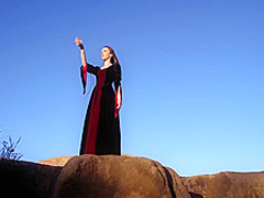 Baremaidens - Farewell My Queen