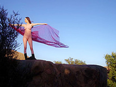 Baremaidens - Farewell My Queen