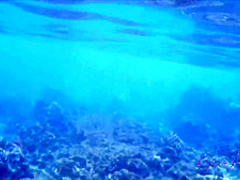 Snorkeling Leads To Fucking With Aria with Aria Skye