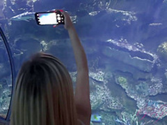 You Meet The Petite Carolina Sweets!