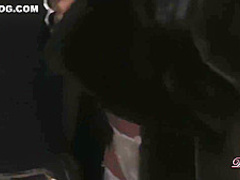 Astonishing Brunette Is Wearing Lacy, White Lingerie While Having Casual Sex With Her New Lover