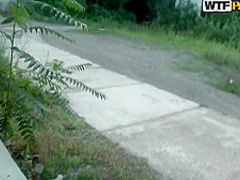 Ferrera Gomes Exotic Beauty Has R with FERRARA GOMEZ